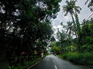 “If the air connectivity improves, then there is no more improvement in our tourism sector,” says Kerala Tourism Minister PC Vishnunadh, as the state pushes for stronger links with Gulf markets. Pictured above is a scene from Kerala.