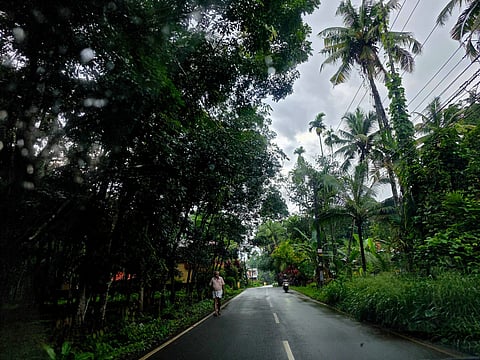 “If the air connectivity improves, then there is no more improvement in our tourism sector,” says Kerala Tourism Minister PC Vishnunadh, as the state pushes for stronger links with Gulf markets. Pictured above is a scene from Kerala.
