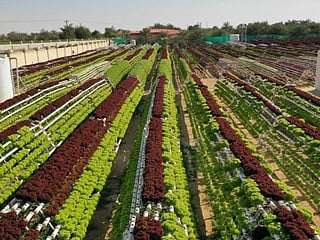New initiatives link agriculture, manufacturing and technology with supply chains and global markets.
