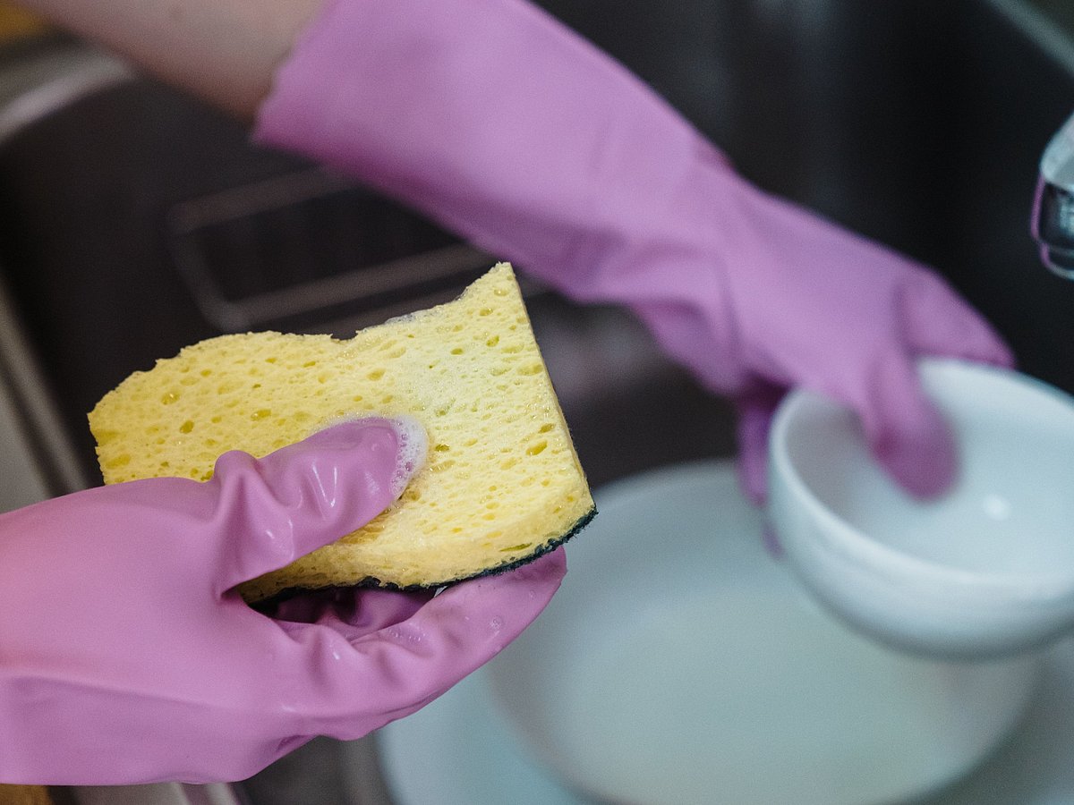 Kitchen sponge