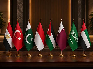 UAE and 7 nations warn against Gaza displacement