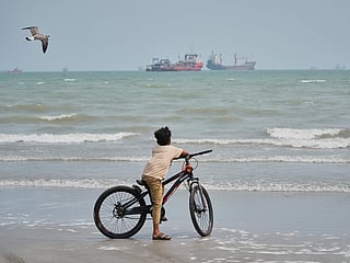 A gull flies overhead as a boy stands with his bicycle on a beach overlooking commercial vessels anchored in the Strait of Hormuz off Bandar Abbas, Iran.