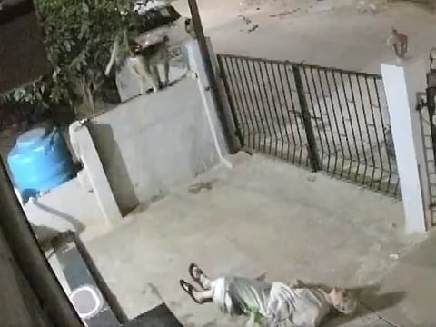 CCTV footage from outside the property captured the attack. Begum's daughter rushed to help her after the fall, but the monkey also approached and attacked her. 
