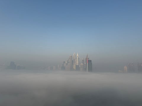 Fog blankets parts of UAE, Abu Dhabi cuts speed limits to 80km/h