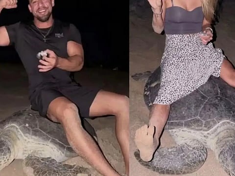 Ukrainian tourist faces legal action in Oman after disturbing nesting sea turtles at Ras Al Hadd, prompting a warning to visitors.