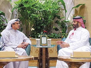 Sheikh Mansour Bin Zayed Al Nahyan met Saudi Crown Prince Mohammed Bin Salman in Riyadh.