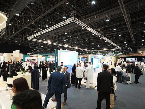Al Ain Oasis Project draws nearly 100,000 visitors in two months after official re-launch
