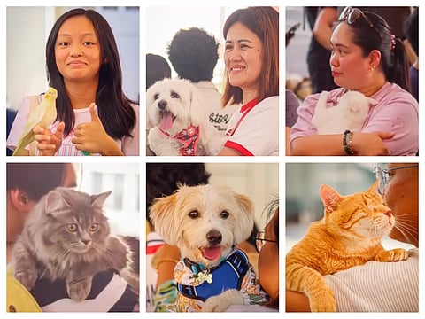 The Blessing of Pets returns on Sunday, October 4, 3pm, at St. Joseph's Cathedral in Abu Dhabi