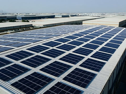 Ninja Group powers JAFZA cold-storage operations with new 355kW solar plant