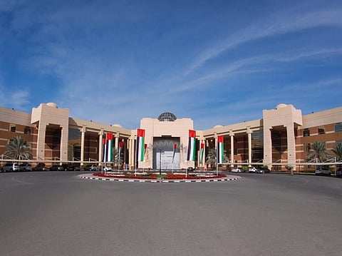 The university said the growth demonstrates continued confidence among students and their families. 