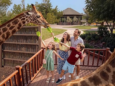 Halloween, kids' camps, new restaurants: Best things to do in the UAE this October 2026
