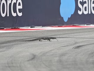 It was utter chaos on the Marina Bay Street Circuit track in 2024 