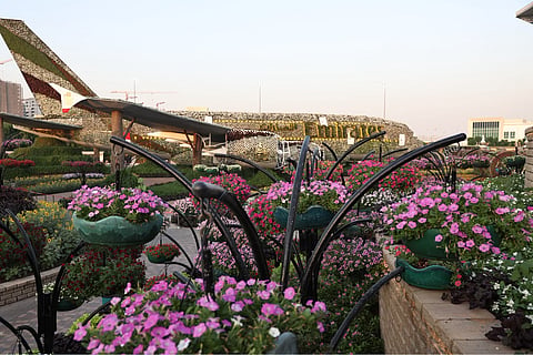 Dubai Miracle Garden reopens for Season 15 with free birthday tickets, weekly celebrations