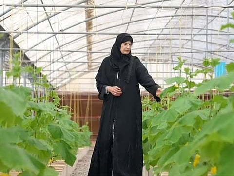 Khadija Darwish Alqubaisi has been recognised for promoting smart and sustainable agriculture, empowering women farmers and inspiring young people to explore the sector.