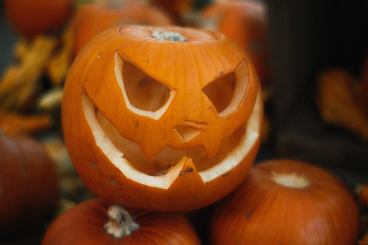 Here are four places to find yours, with prices where we could get them and tips to keep your pumpkin fresh until 31 October.