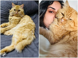 Avishka Kaumadi with her cat. 