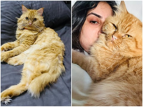 Avishka Kaumadi with her cat. 