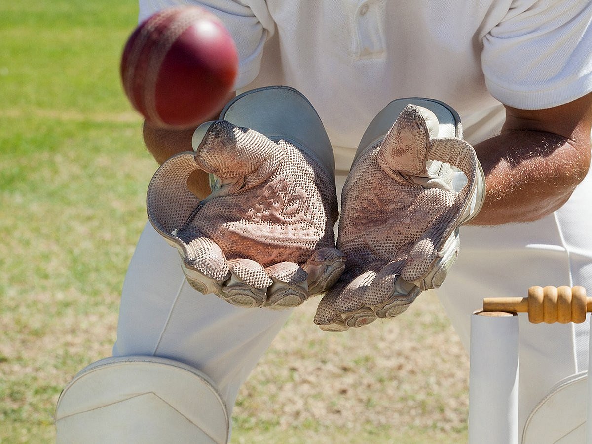 cricket ball catch