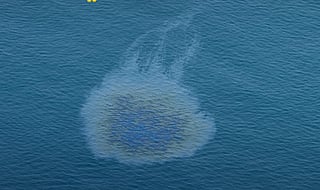 UAE oil spill: Cleanup begins, UAQ beaches closed