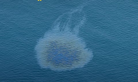 UAE oil spill: Umm Al Quwain beaches closed as cleanup efforts begin 