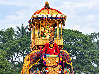 A mahout sits in front of the 750kg Golden Howdah carrying the idol of Goddess Chamundeshwari during the Jamboo Savari procession on Vijayadashami, marking the grand finale of Mysuru Dasara in Karnataka, India.