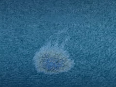 A timeline of official updates, oil spill confirmation and coastal safety measures.