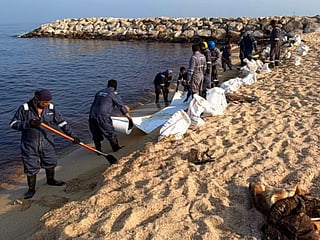 The municipality is coordinating with the relevant authorities to accelerate the response and ensure that field teams can respond effectively to changes in the situation.