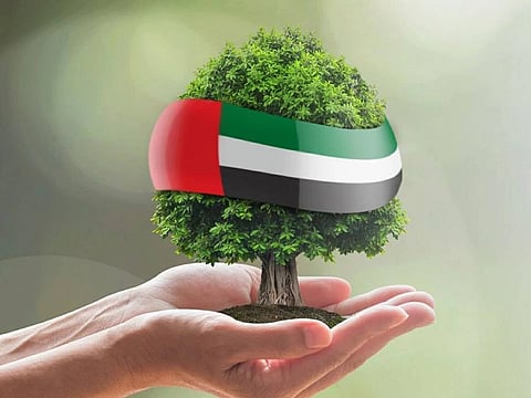 The strategy is built around five key areas designed to strengthen the country's preparedness for natural disasters and its ability to respond to environmental and climate-related threats.