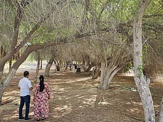 families enjoy a quiet moment under the trees at the green patch near the BAPS Mandir, Al Rahba.