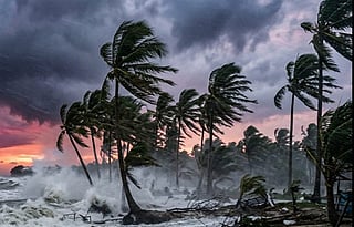 Andhra begins evacuation, shuts beaches as ‘Arnab’ intensifies into severe cyclone 