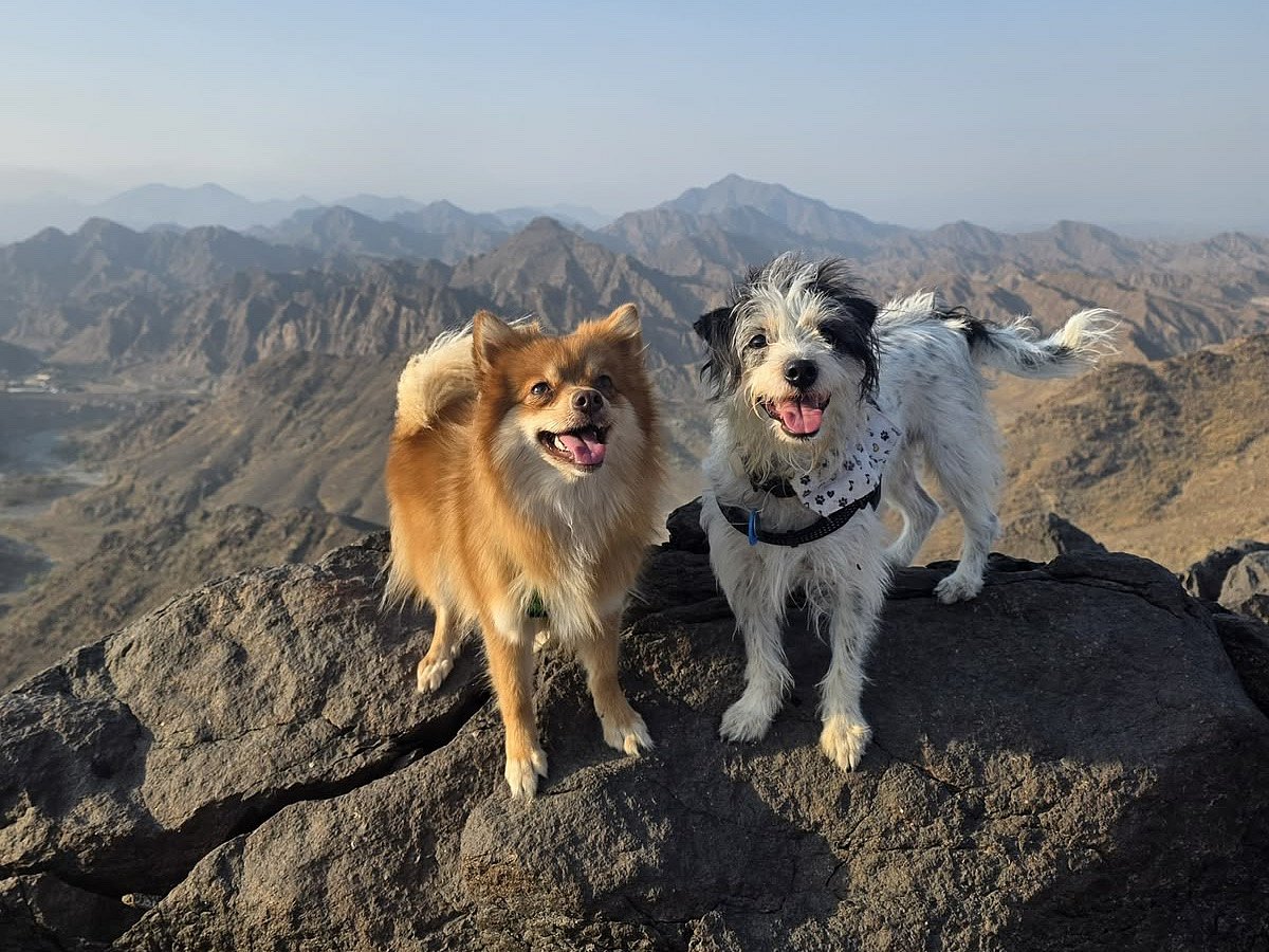 Nata and Rocket hiking