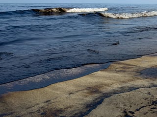 UAE oil spill update: Coastal clean-up stepped up
