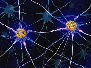 Brain health must be part of talks on healthy ageing