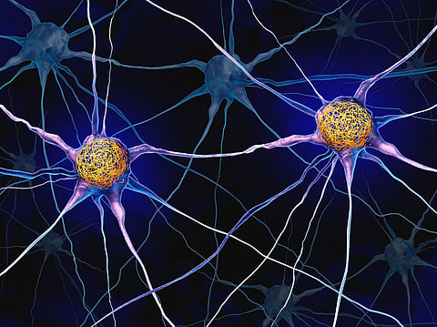 Brain health must be part of every conversation about healthy ageing