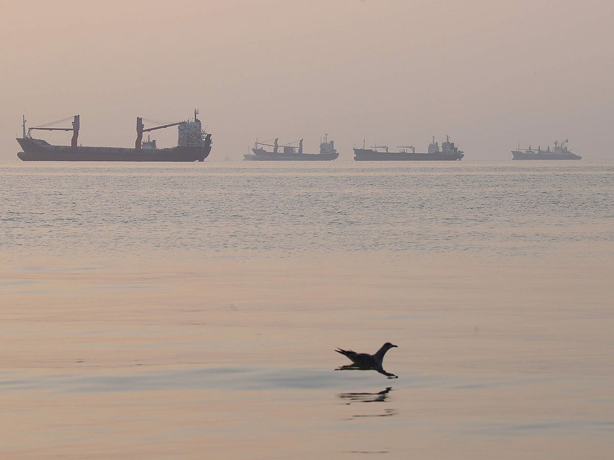 Cargo ships lie at anchor in the Strait of Hormuz off Bandar Abbas, Iran.