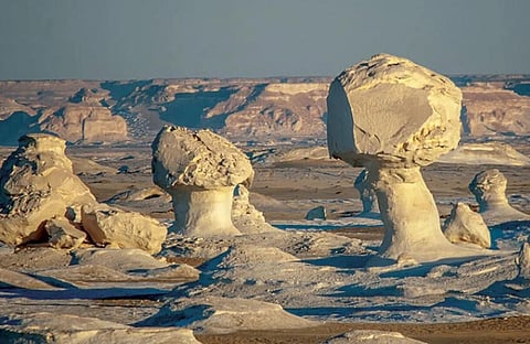 The project, which will be executed by US oilfield services company Halliburton, forms part of a five-year strategy by Egypt's Ministry of Petroleum and Mineral Resources to maximise existing infrastructure, deploy advanced extraction technologies and restore production from gas reservoirs experiencing natural decline.