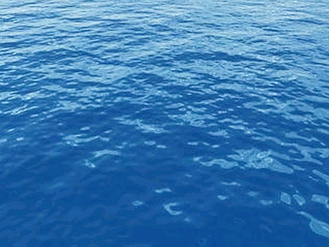 Water more important than oil for the future of the Arab world