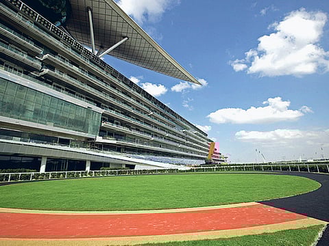 An affinity for horse racing