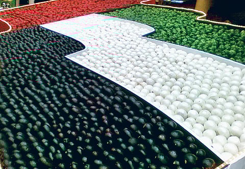 Mohammad Kashif, XPRESS Reader