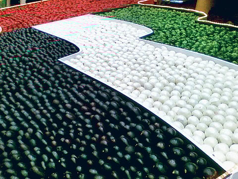 Mohammad Kashif, XPRESS Reader