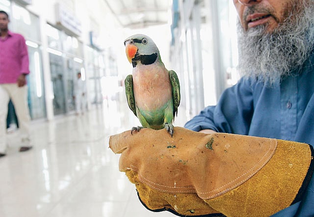 1.1367000-1308631561