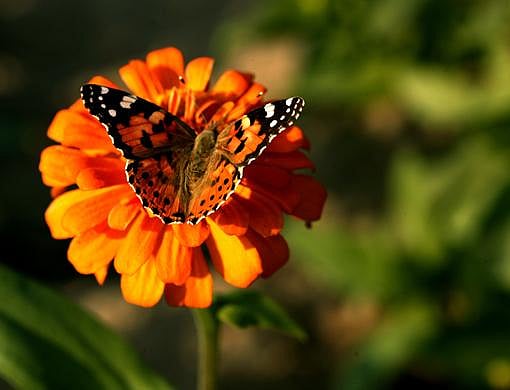 1.2092837-1315879178