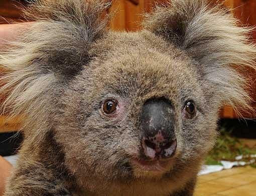 1.2245663-2218195672