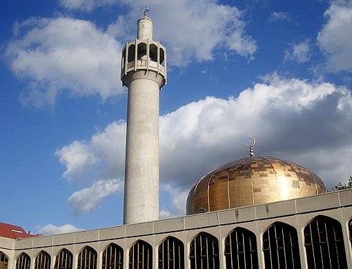 1.2186656-2256888648