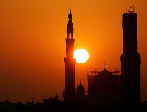 1.2263190-1740525087