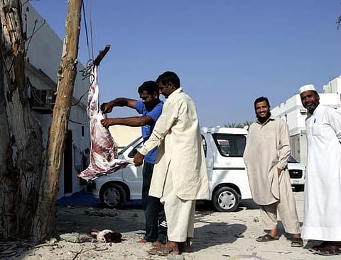 
Tracy Brand/Gulf News	