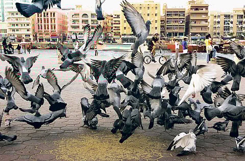 Pankaj Sharma, XPRESS Reader