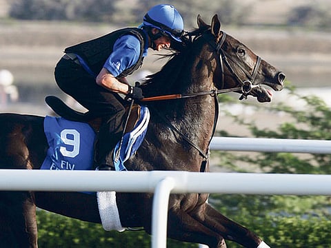 Megan Hirons Mahon, Gulf News