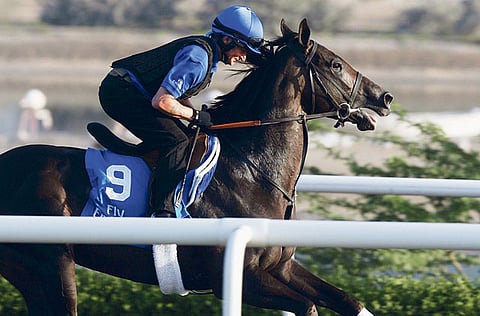 Megan Hirons Mahon, Gulf News