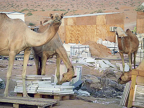 Jamal Abdul/Gulf News Reader